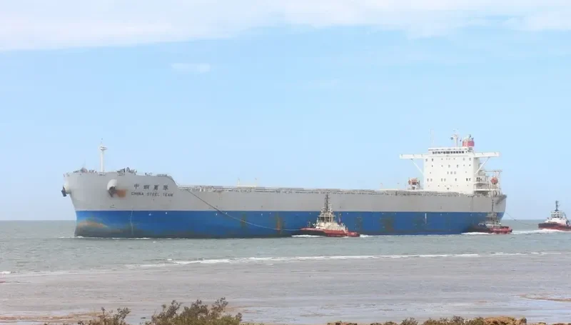 CHINA STEEL TEAM Bulk Carrier IMO 9327815