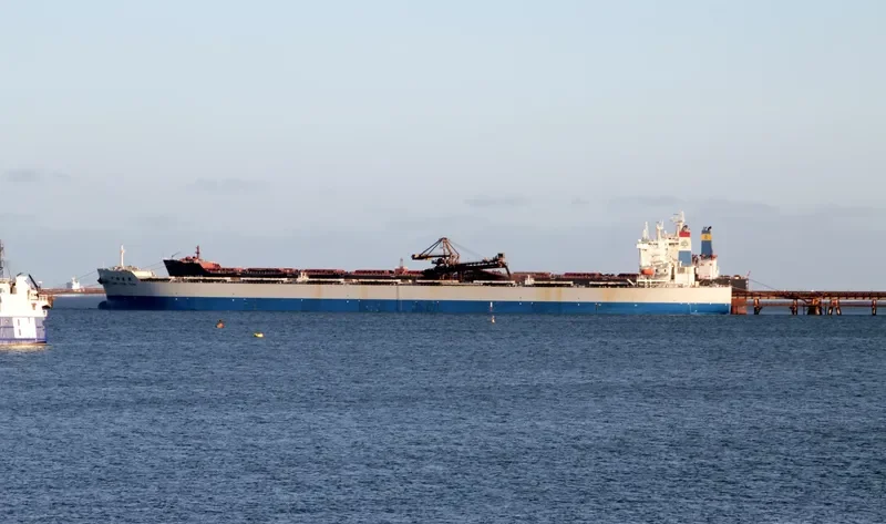 CHINA STEEL TEAM Bulk Carrier IMO 9327815 photo 2