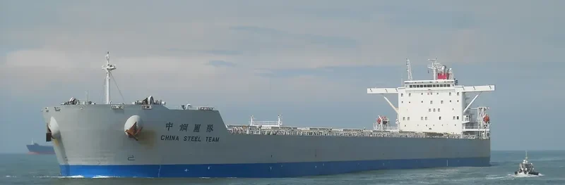 CHINA STEEL TEAM Bulk Carrier IMO 9327815 photo 6