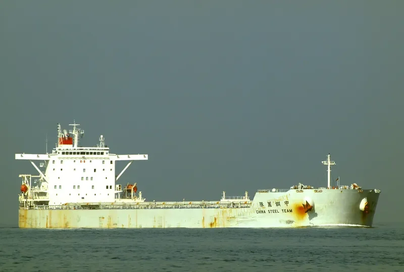 CHINA STEEL TEAM Bulk Carrier IMO 9327815 photo 8