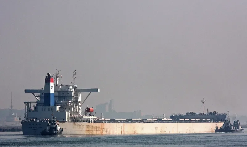 CHINA STEEL TEAM Bulk Carrier IMO 9327815 photo 10
