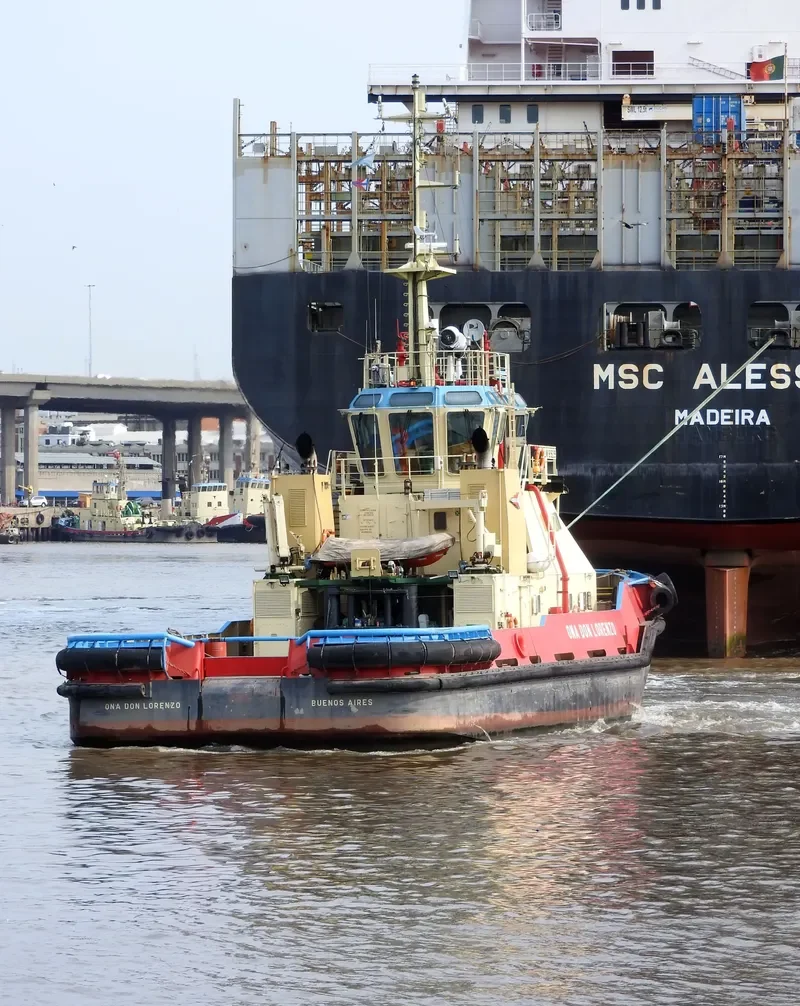 ONA DON LORENZO General Cargo IMO 9328388 photo 6