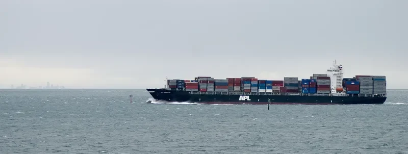 GERHARD SCHULTE Container Ship IMO 9328481 photo 2