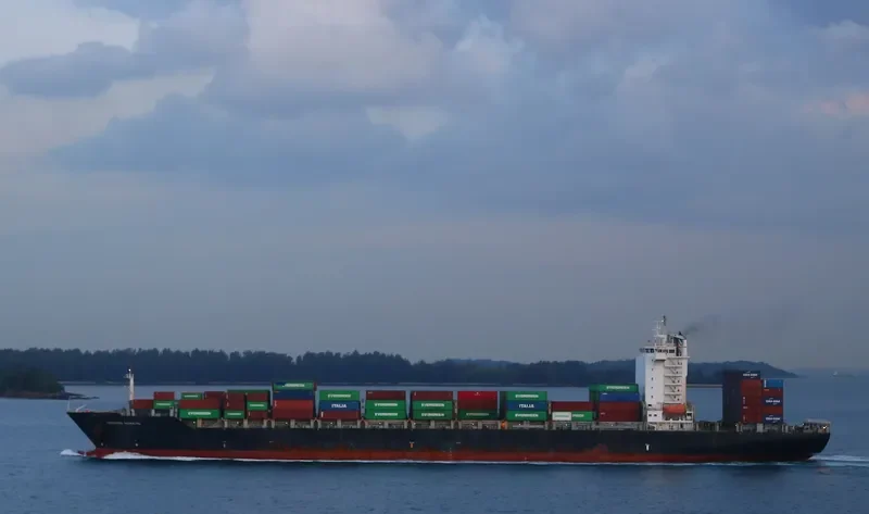 GERHARD SCHULTE Container Ship IMO 9328481 photo 6