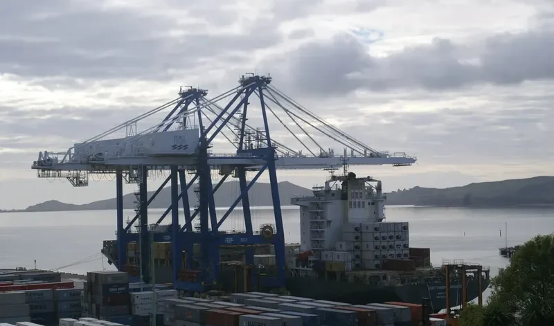 GOTTFRIED SCHULTE Container Ship IMO 9328493 photo 10