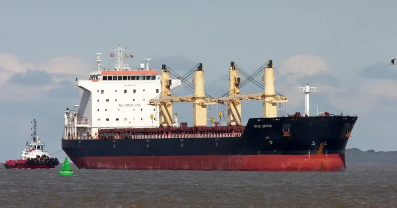 SPAR SPICA Bulk Carrier IMO 9328522 photo 4