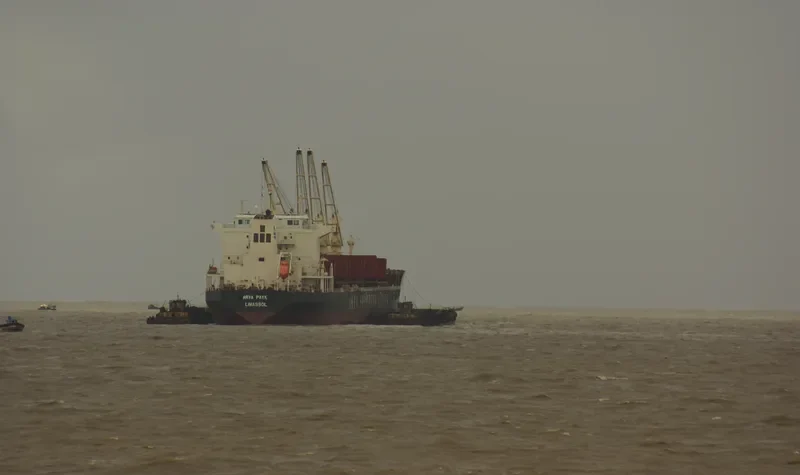 SPAR LIBRA Bulk Carrier IMO 9328534