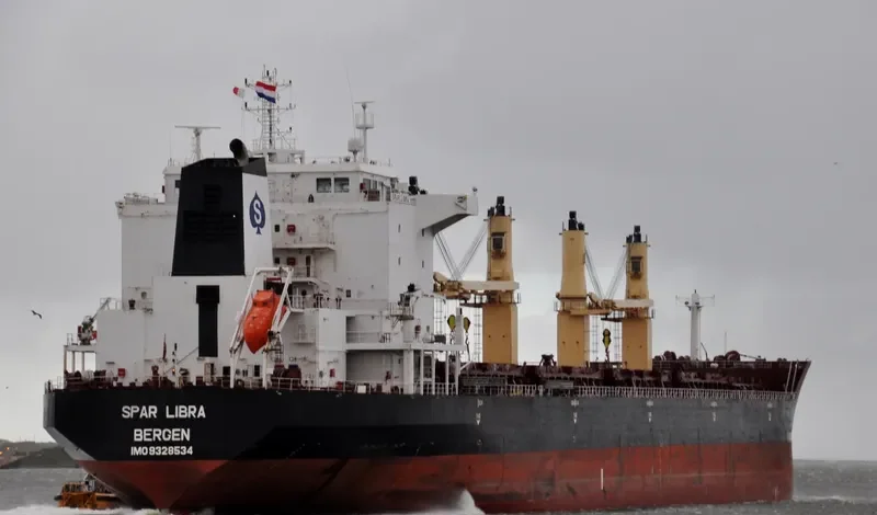 SPAR LIBRA Bulk Carrier IMO 9328534 photo 2