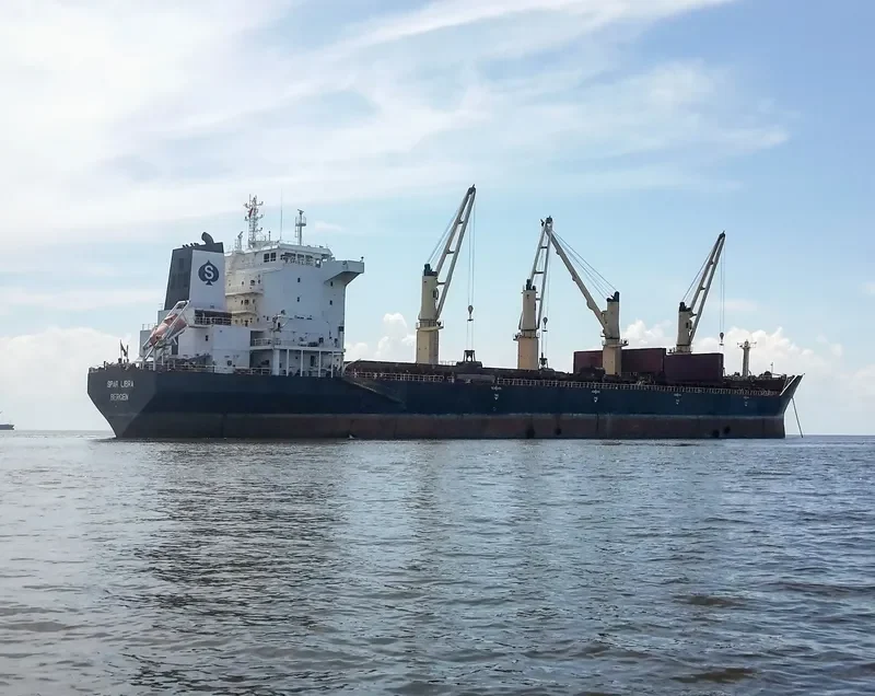 SPAR LIBRA Bulk Carrier IMO 9328534 photo 4