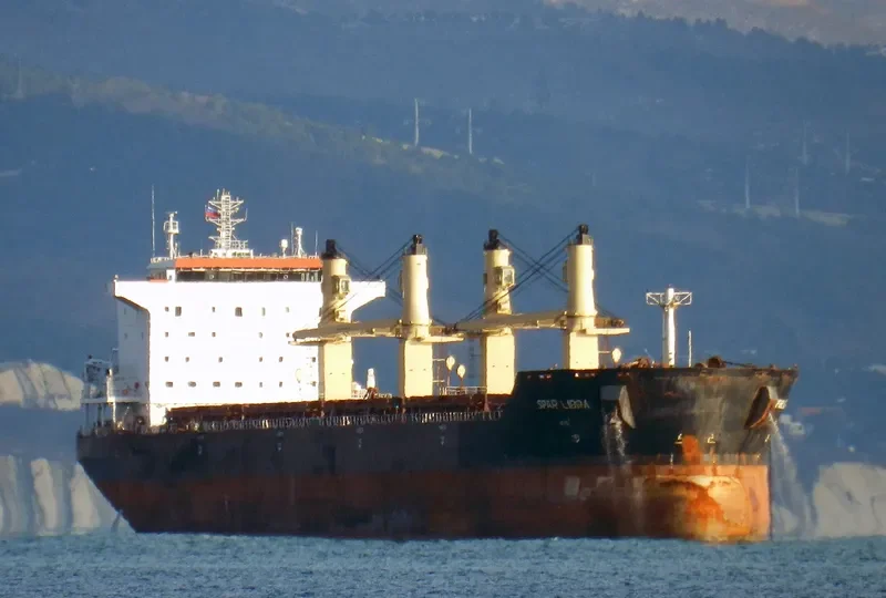 SPAR LIBRA Bulk Carrier IMO 9328534 photo 5