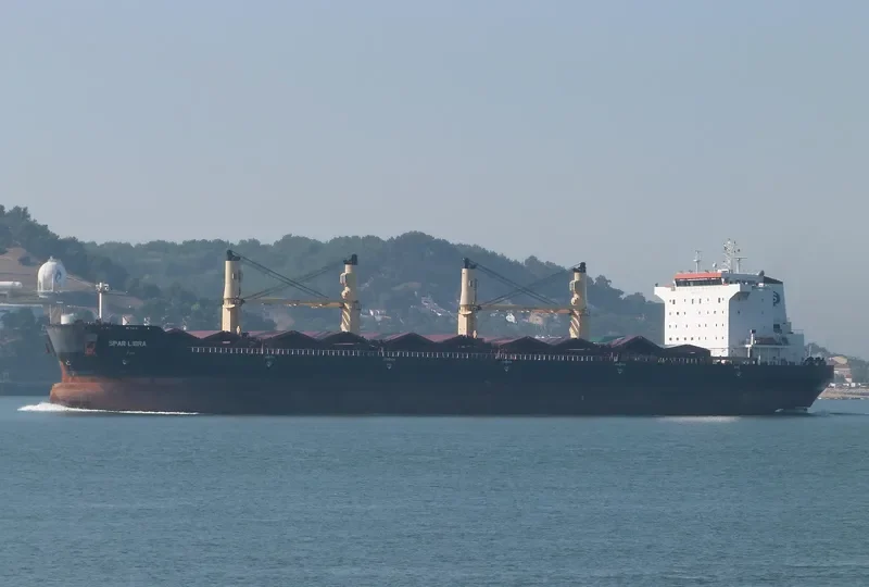 SPAR LIBRA Bulk Carrier IMO 9328534 photo 7