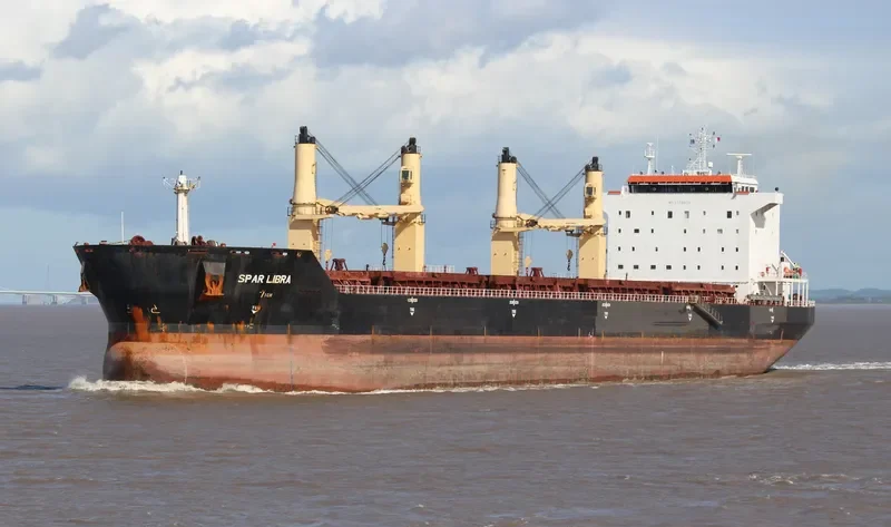 SPAR LIBRA Bulk Carrier IMO 9328534 photo 9