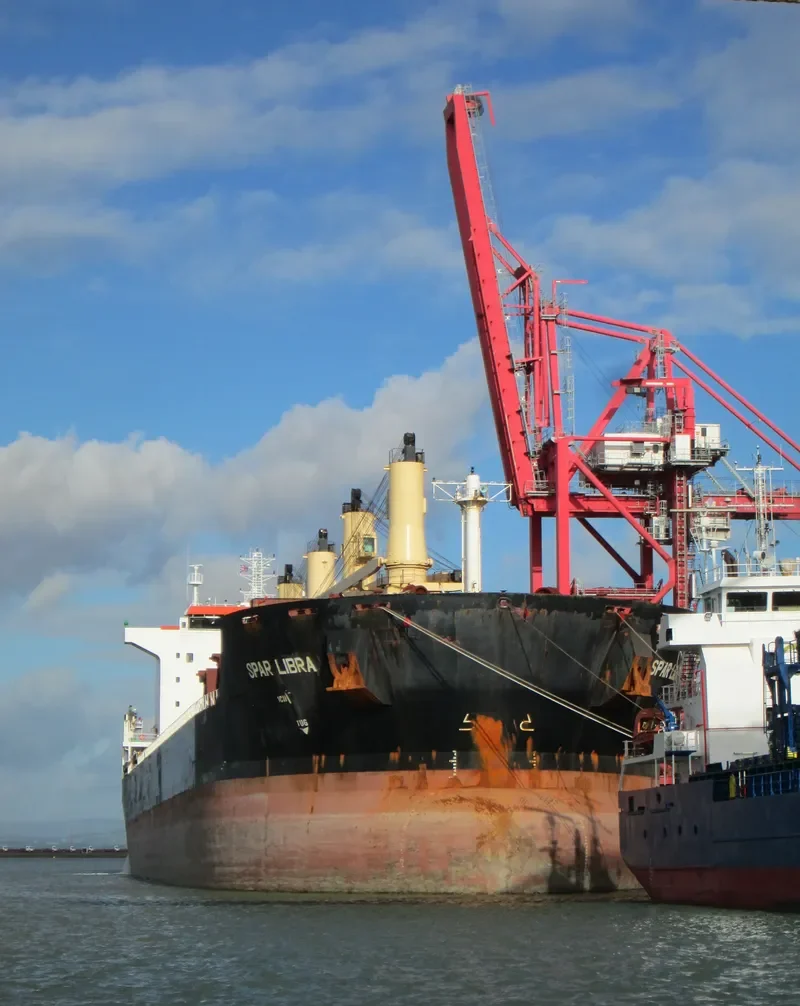 SPAR LIBRA Bulk Carrier IMO 9328534 photo 10