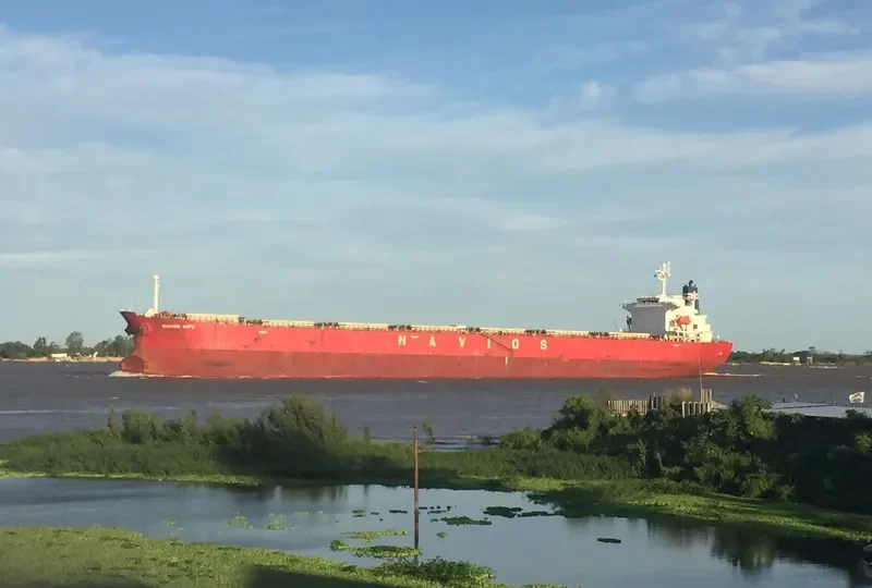 NAVIOS HOPE Bulk Carrier IMO 9328558