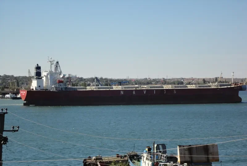 NAVIOS HOPE Bulk Carrier IMO 9328558 photo 2