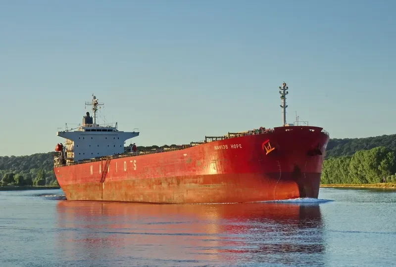 NAVIOS HOPE Bulk Carrier IMO 9328558 photo 3