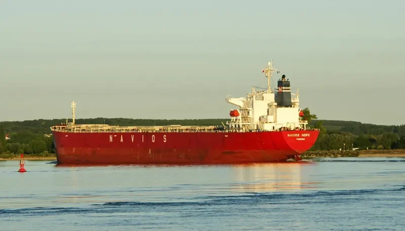 NAVIOS HOPE Bulk Carrier IMO 9328558 photo 4