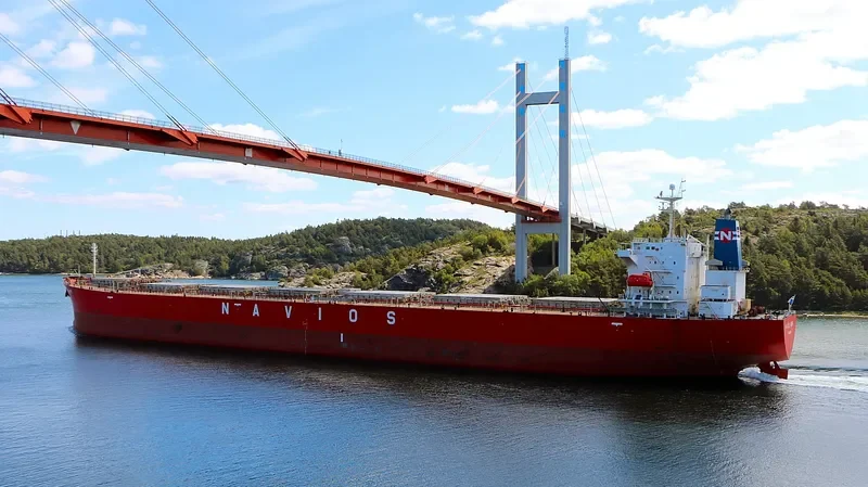 NAVIOS HOPE Bulk Carrier IMO 9328558 photo 5