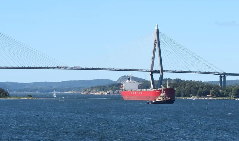NAVIOS HOPE Bulk Carrier IMO 9328558 photo 7