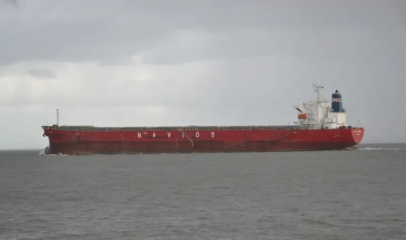 NAVIOS HOPE Bulk Carrier IMO 9328558 photo 8