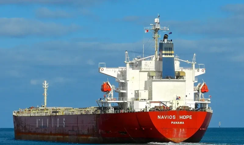 NAVIOS HOPE Bulk Carrier IMO 9328558 photo 9
