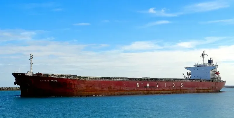 NAVIOS HOPE Bulk Carrier IMO 9328558 photo 10