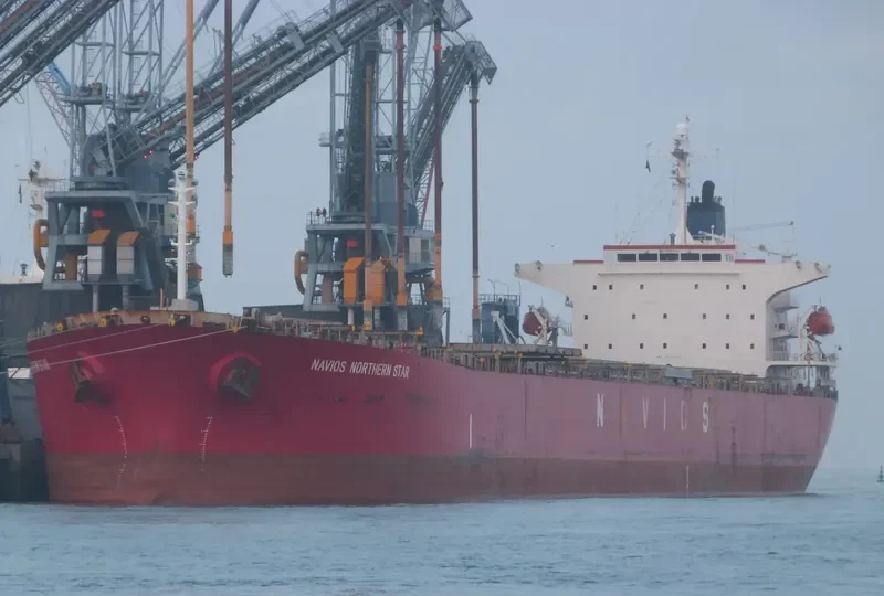 LT OCEAN STAR Bulk Carrier IMO 9328560 photo 2