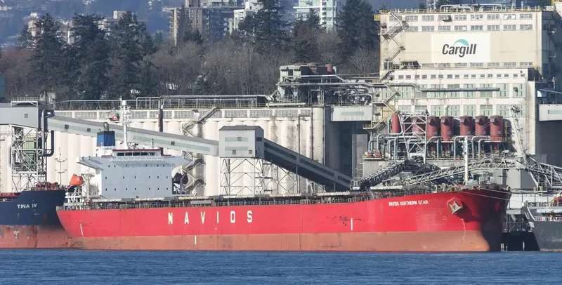 LT OCEAN STAR Bulk Carrier IMO 9328560 photo 4