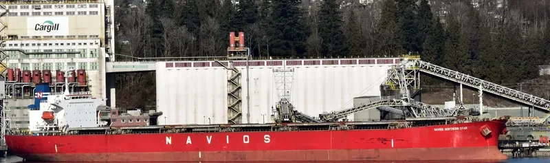 LT OCEAN STAR Bulk Carrier IMO 9328560 photo 6