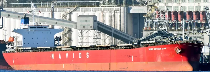 LT OCEAN STAR Bulk Carrier IMO 9328560 photo 7