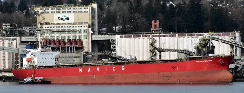 LT OCEAN STAR Bulk Carrier IMO 9328560 photo 9