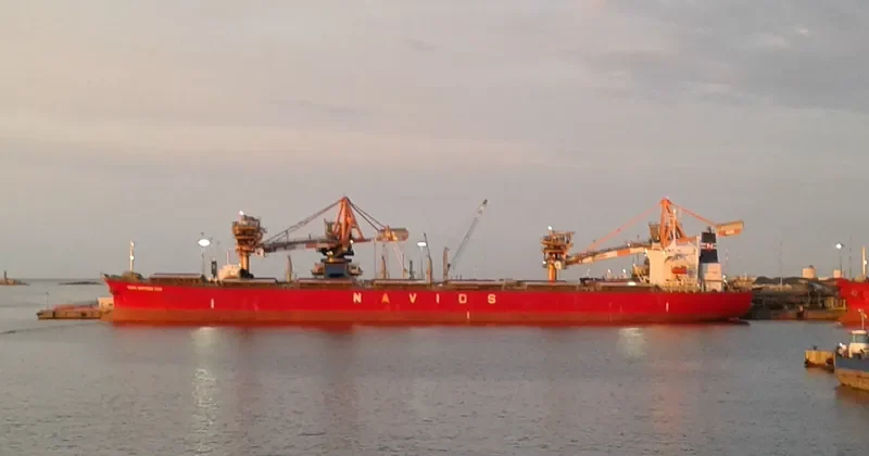 LT OCEAN STAR Bulk Carrier IMO 9328560 photo 10