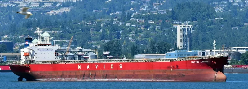 GLORY LOONG Bulk Carrier IMO 9328572