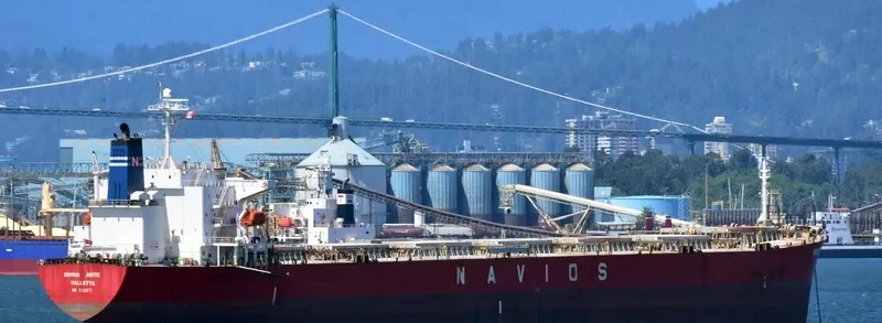 GLORY LOONG Bulk Carrier IMO 9328572 photo 2