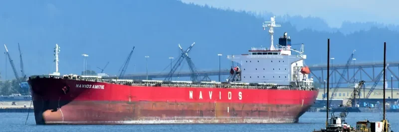 GLORY LOONG Bulk Carrier IMO 9328572 photo 3