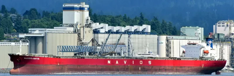 GLORY LOONG Bulk Carrier IMO 9328572 photo 4