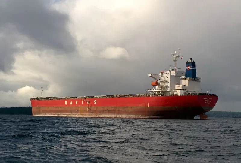 GLORY LOONG Bulk Carrier IMO 9328572 photo 5