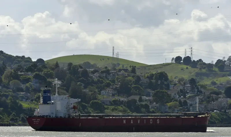 GLORY LOONG Bulk Carrier IMO 9328572 photo 6