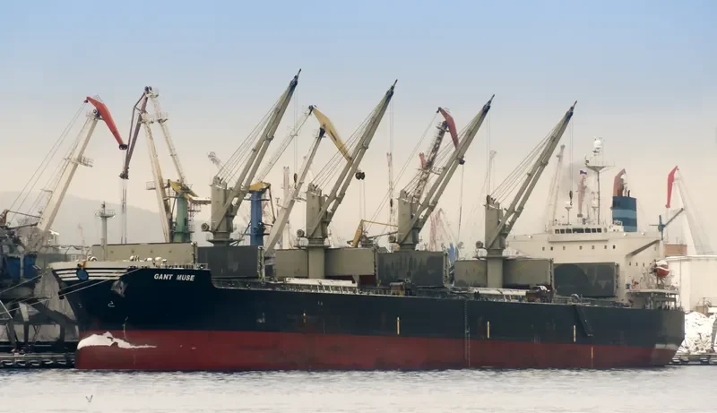 GANT MUSE Bulk Carrier IMO 9328675 photo 4