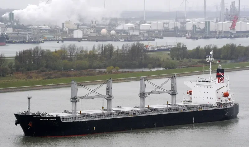 GANT MUSE Bulk Carrier IMO 9328675 photo 8