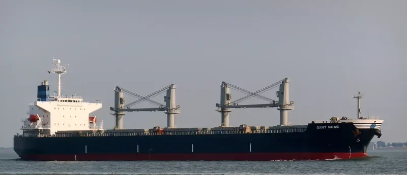GANT MUSE Bulk Carrier IMO 9328675 photo 9