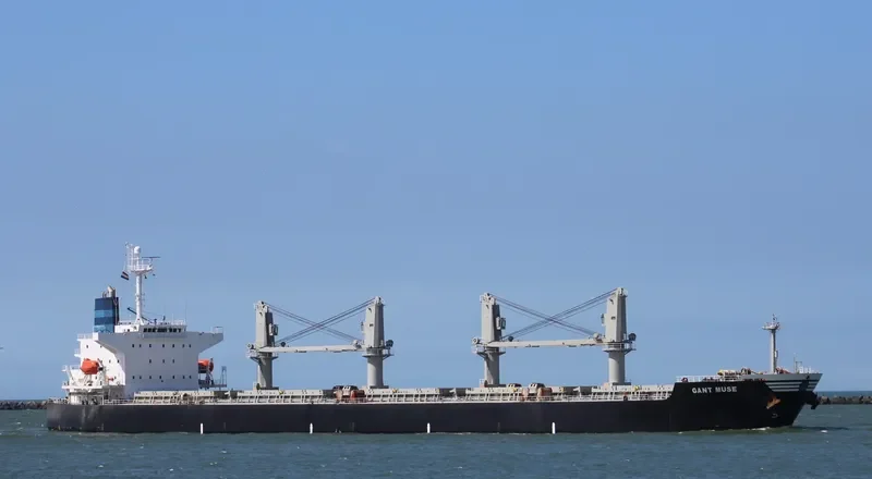 GANT MUSE Bulk Carrier IMO 9328675 photo 10