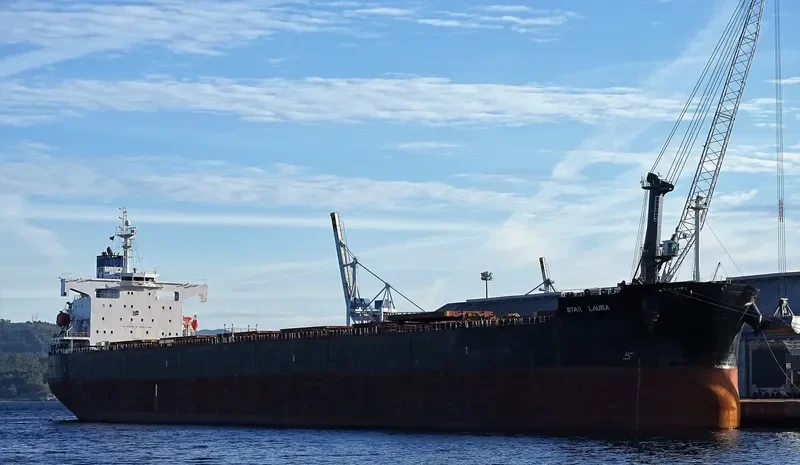 STAR LAURA Bulk Carrier IMO 9328936