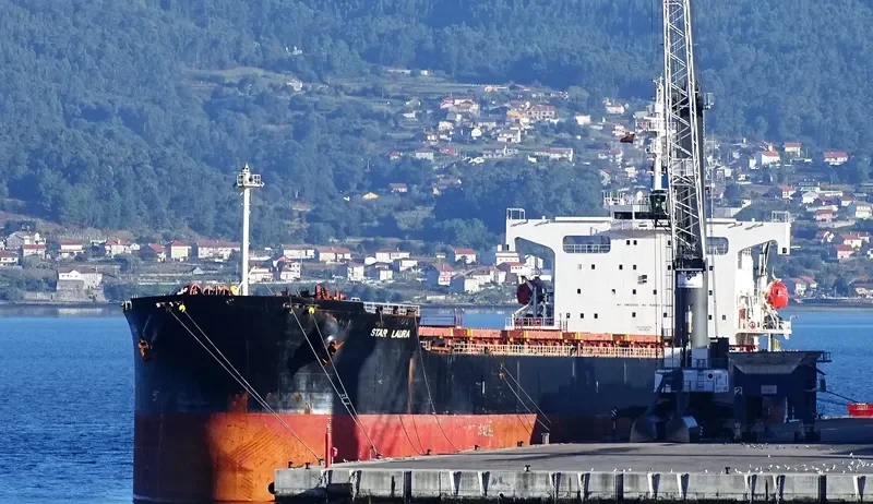 STAR LAURA Bulk Carrier IMO 9328936 photo 2