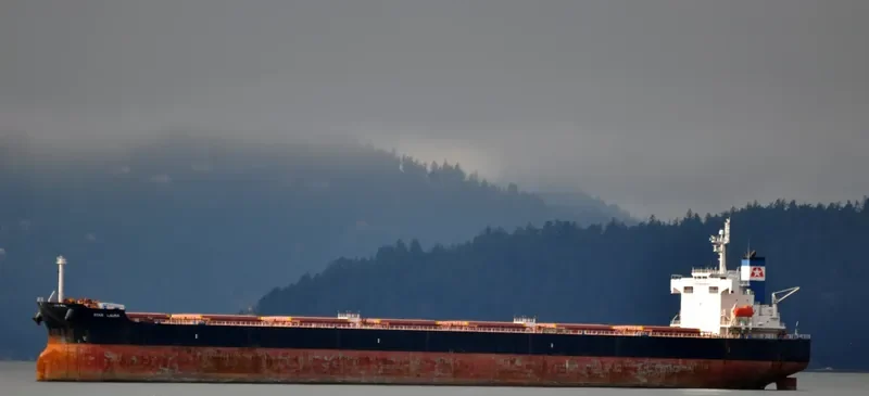 STAR LAURA Bulk Carrier IMO 9328936 photo 3