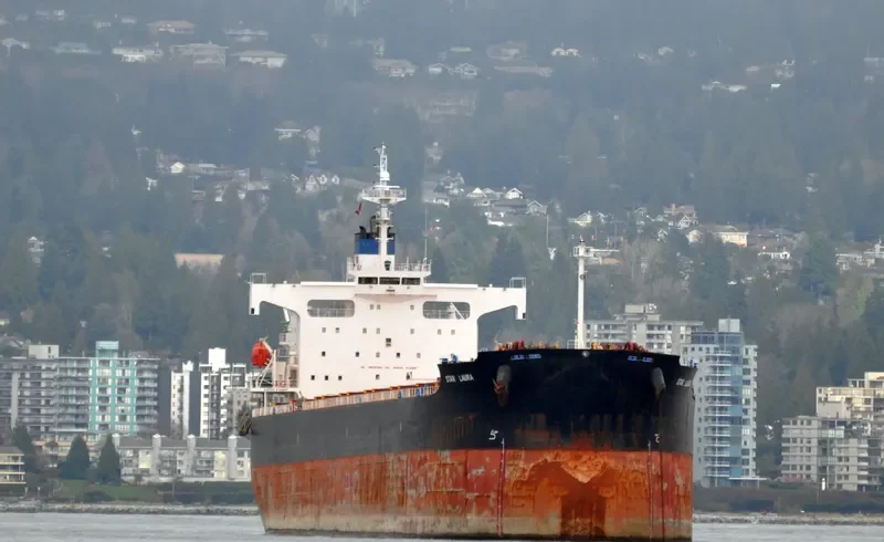 STAR LAURA Bulk Carrier IMO 9328936 photo 5