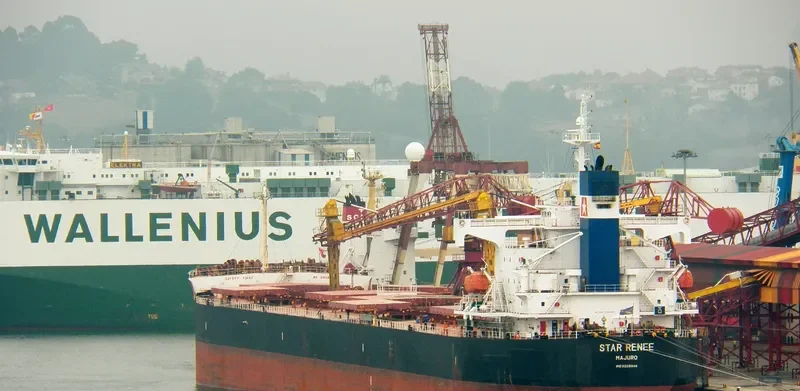 STAR RENEE Bulk Carrier IMO 9328948 photo 3