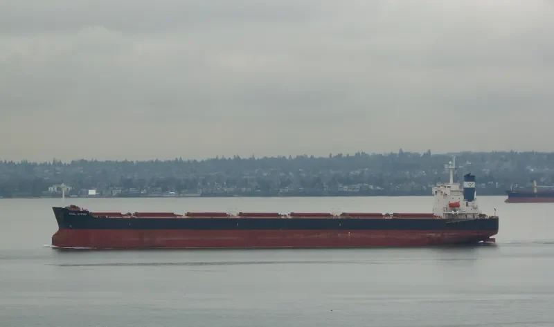 STAR RENEE Bulk Carrier IMO 9328948 photo 5