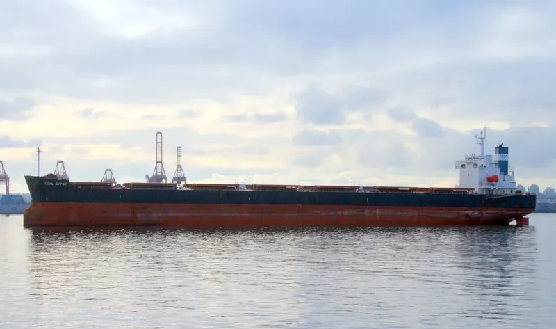 STAR RENEE Bulk Carrier IMO 9328948 photo 7