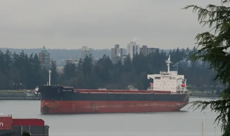 STAR RENEE Bulk Carrier IMO 9328948 photo 9